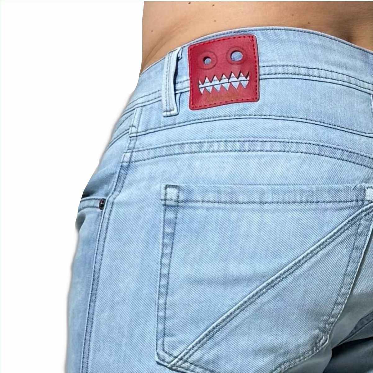 Jean Elastico Antartida